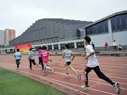 速滑世界杯波兰站：中国队首日收获两枚铜牌